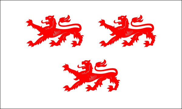 Diocese of Cambrai, Flag, size: 150 x 90 cm