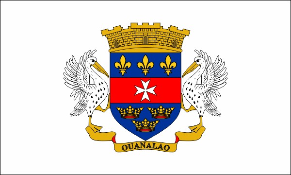 Saint Barthelemy, Flagge des Regionalrats, Größe: 150 x 90 cm