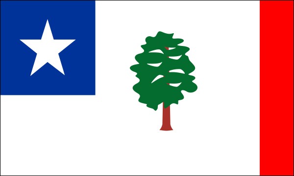 Mississippi, Flagge, 1861-1894, Größe: 150 x 90 cm